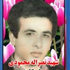 نصراله محمودی.jpg